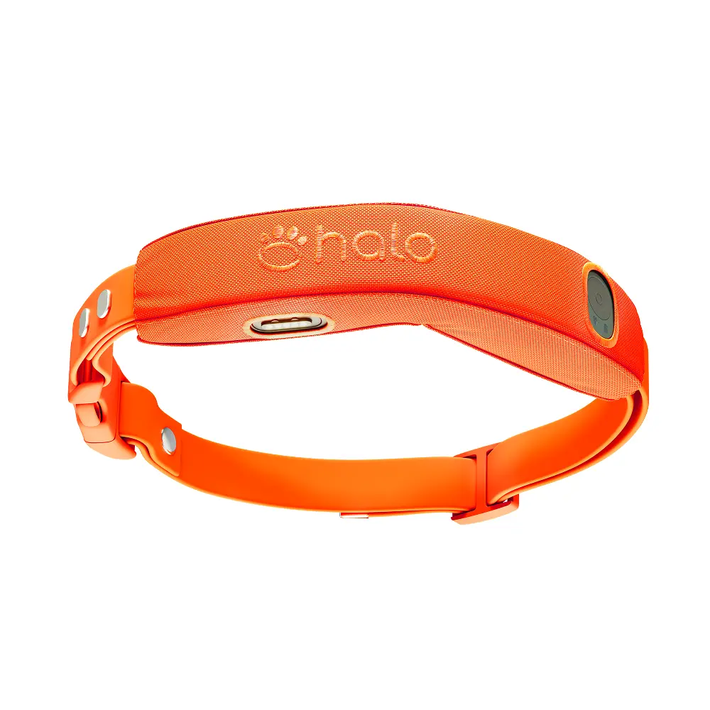 Halo Collar 5 GPS Dog Fence